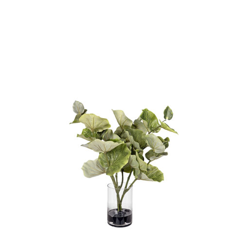 Tea Leaf in Round Glass - 7257010