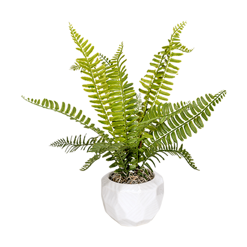 Fern in Flintstone Planter - 7257011 - Image 2