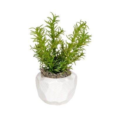 Rosemary in Flintstone Planter - 7257012
