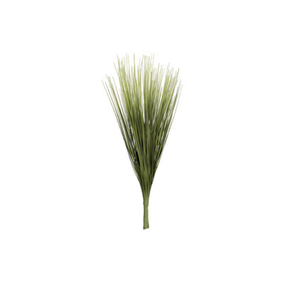 Two Tone Green Onion Grass - GR2158