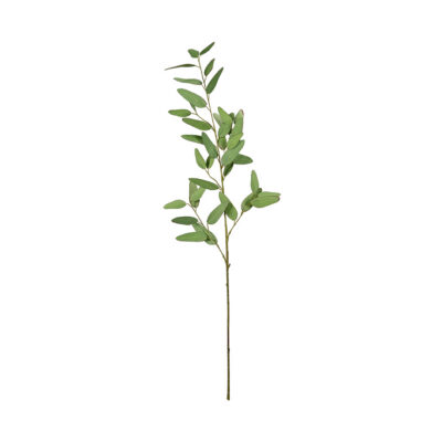 Blue Eucalyptus Branch - GR2220