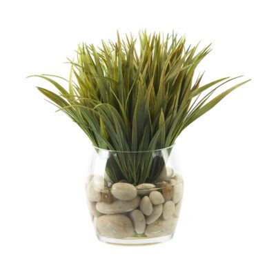Grass in Glass Vase - 09847
