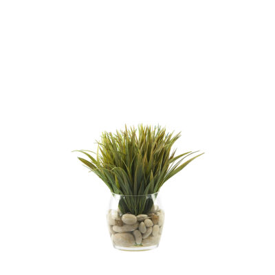 Grass in Glass Vase - 09847