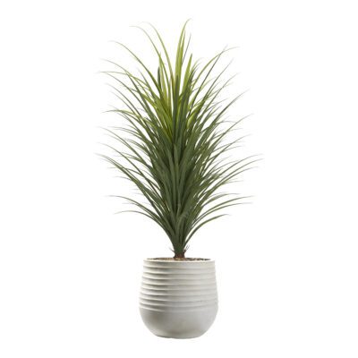 Panicum Grass in Mariella Planter 4.6' - 1042-3049