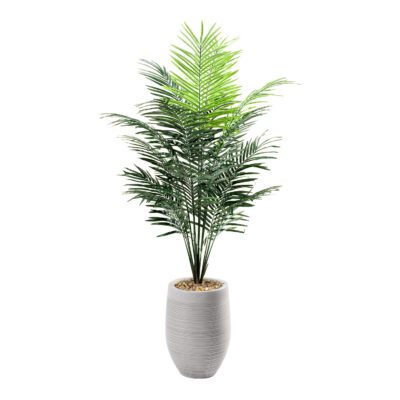 Medium Dwarf Areca Palm Tree - Kai Planter - 109126-2917
