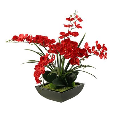 Red Phal Orchids in Navis Planter - 154013