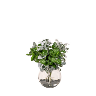 Lamb's Ear & Eucalyptus in Glass Bubble Bowl - 259013