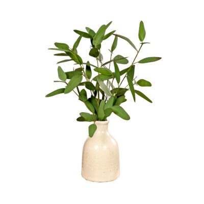 Blue Eucalyptus in Hearthstone Planter - 259019