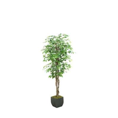 Green Ficus Tree in Metal Planter 6' - 131282
