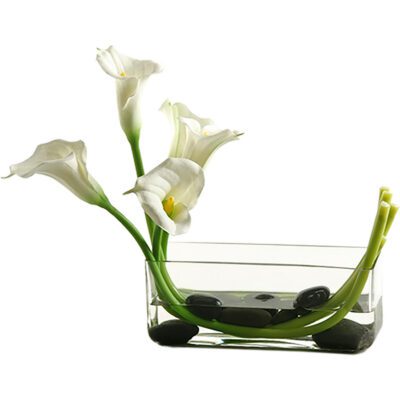 Calla Lilies in Aquaria Glass - 154146