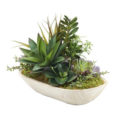 Aloe, Wild Succulents & Mixed Foliage in Ambrose Bowl - 197004