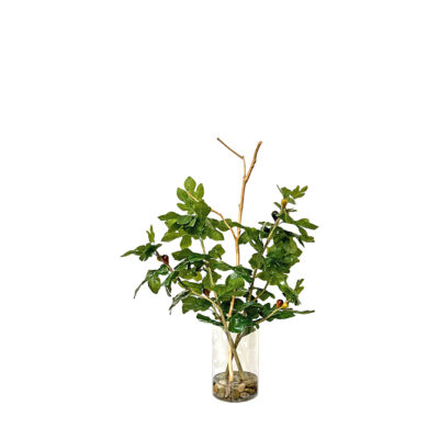 Fig Branches in Rowan Vase - 254036