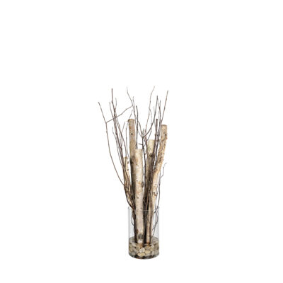 Birch Poles & Tops in Glass - 259006