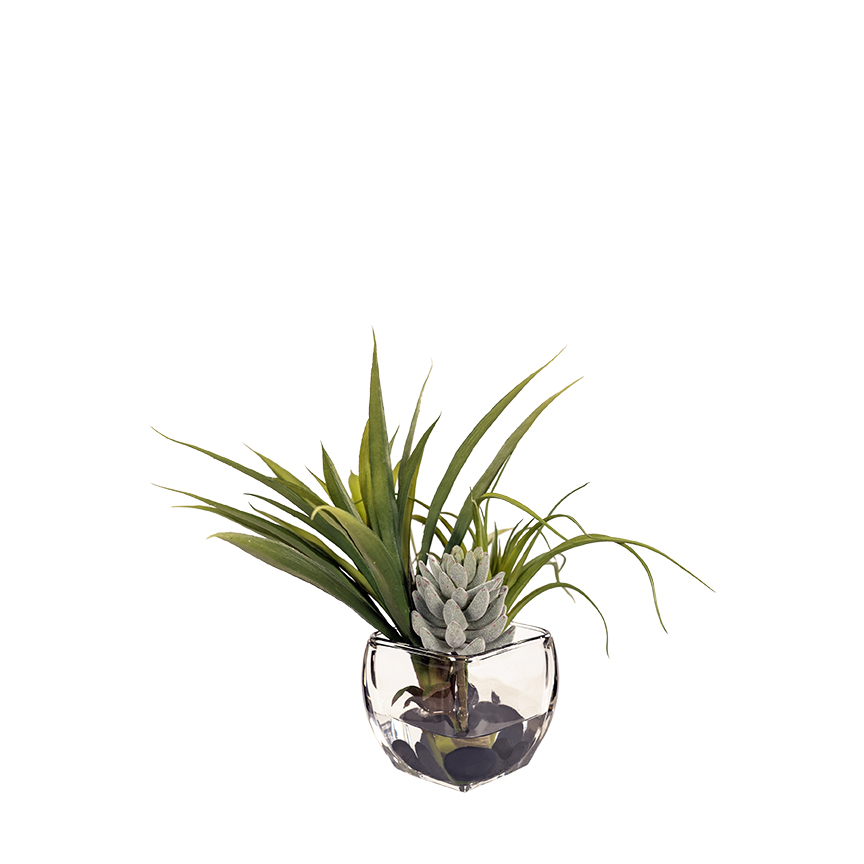 Flocked Agave, Tillandsia & Lily Grass in Glass Cube - 259007