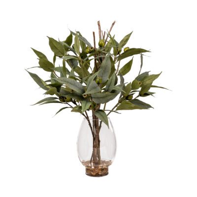 Eucalyptus Spray in Glass Socle Vase - 259028