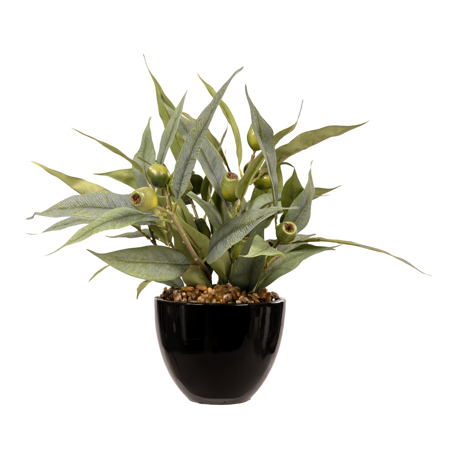 Eucalyptus in Shiny Round Planter - 259030