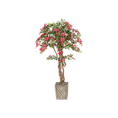 Medium Bougainvillea Tree - Grange Planter - 316410