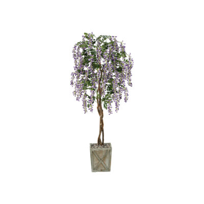 Medium Wisteria Tree - Grange Planter - 316913