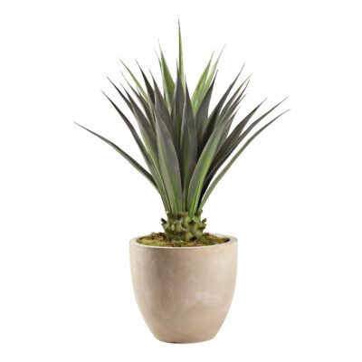 Jumbo Agave in Grove Planter 5.8' - 321894