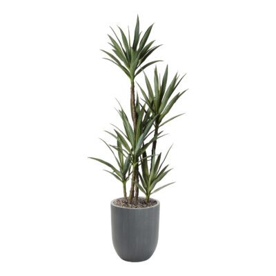 Dracaena Tree in Campbell Planter 7'- 324008