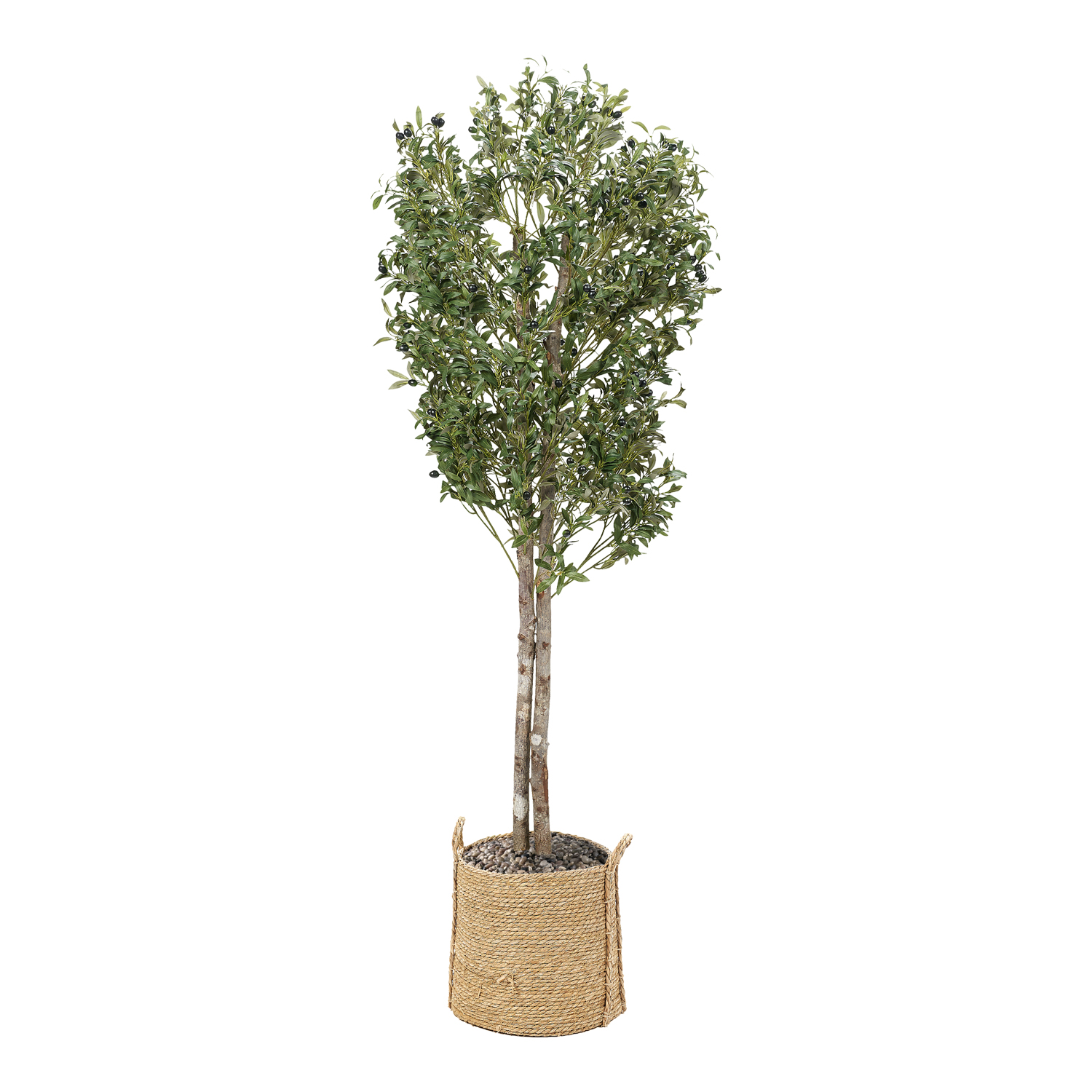 Olive Tree in Wyatt Basket 7' - 324010