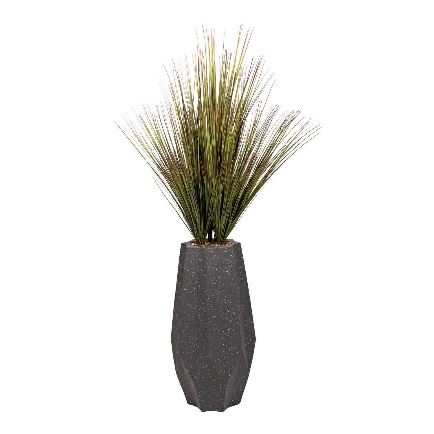 Green/Brown Onion Grass in Jamison Planter - Image 2