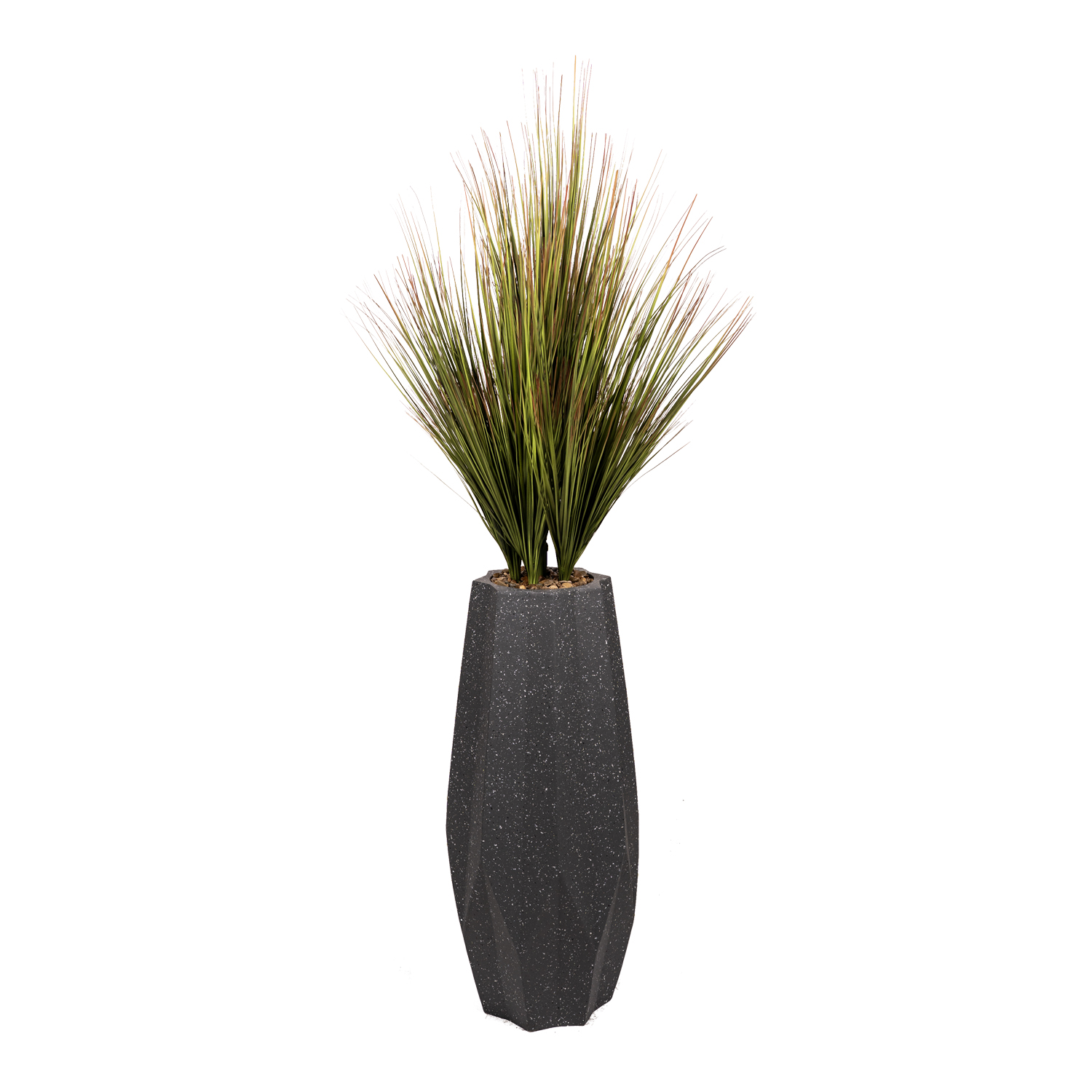 Green/Brown Onion Grass in Jamison Planter