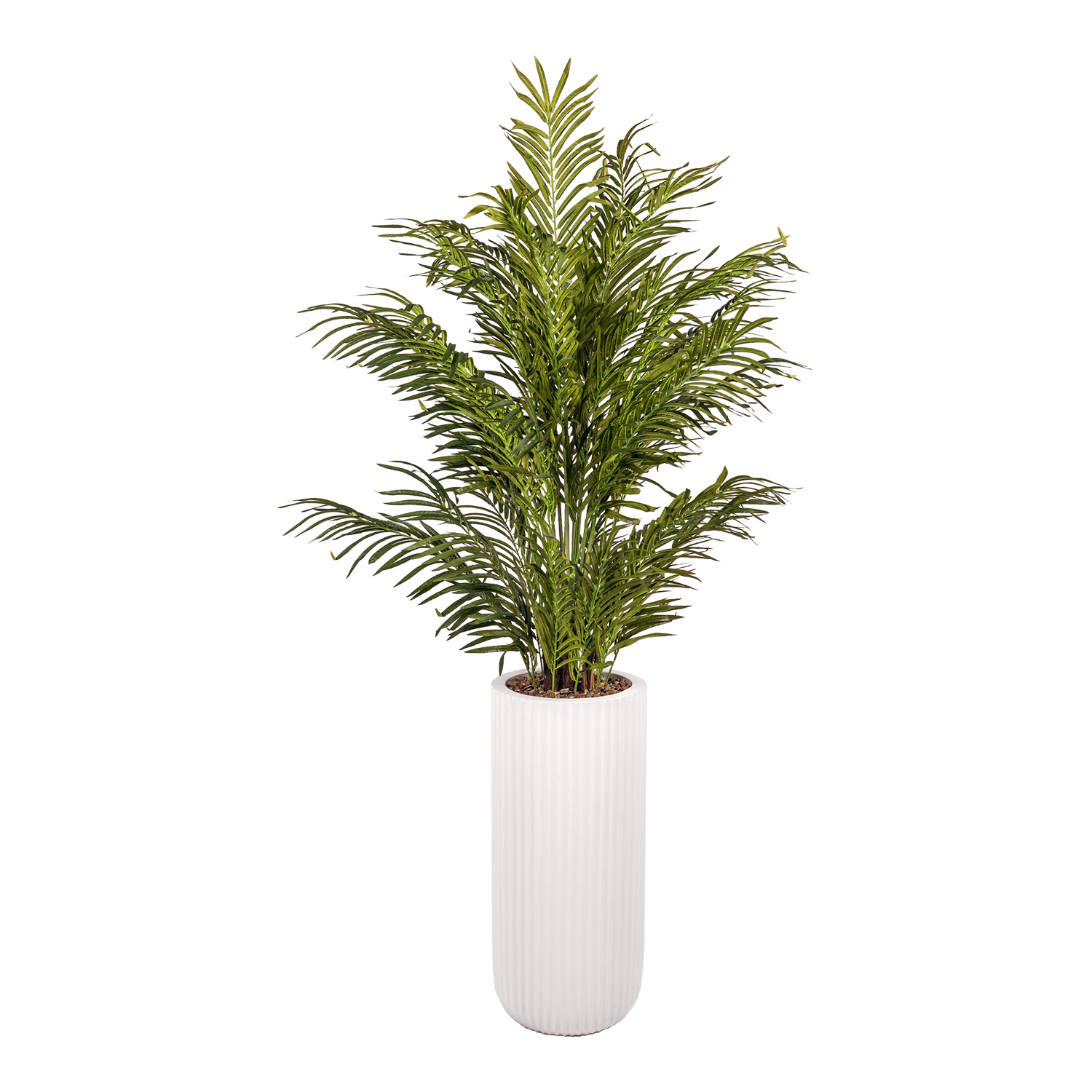 Areca Palm in Nouveau Planter 8' - 325926