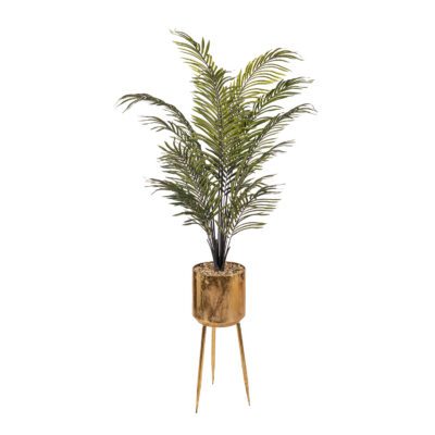 Areca Palm in Regina Planter 7' - 7251005
