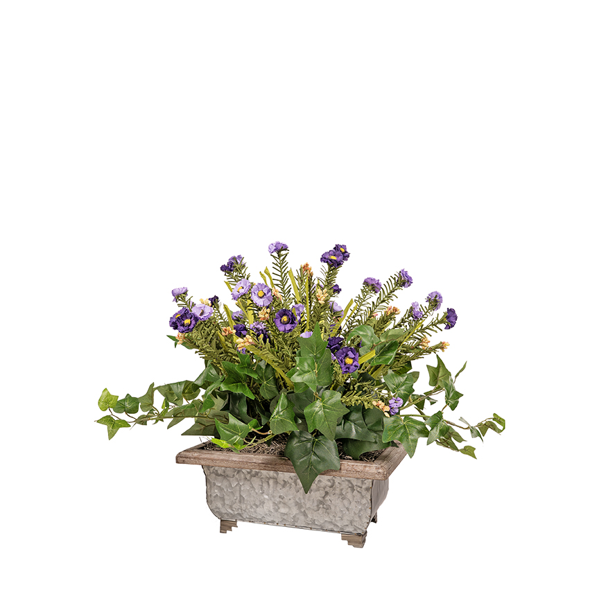 Lavender Wild Flowers & English Ivy in Metal Planter - 7251013