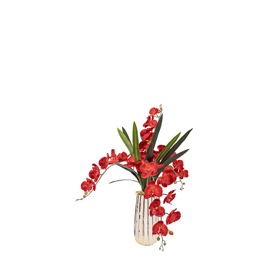 Deep Red Orchids & Orchid Leaves in White/Gold Ceramic Planter - 7251014