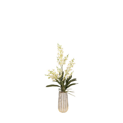 Green Delphiniums in White/Gold Ceramic Planter - 7251016
