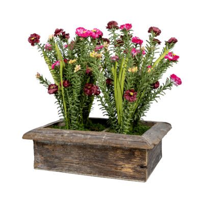 Light Pink Wild Flowers in Wooden Planter - 7251017