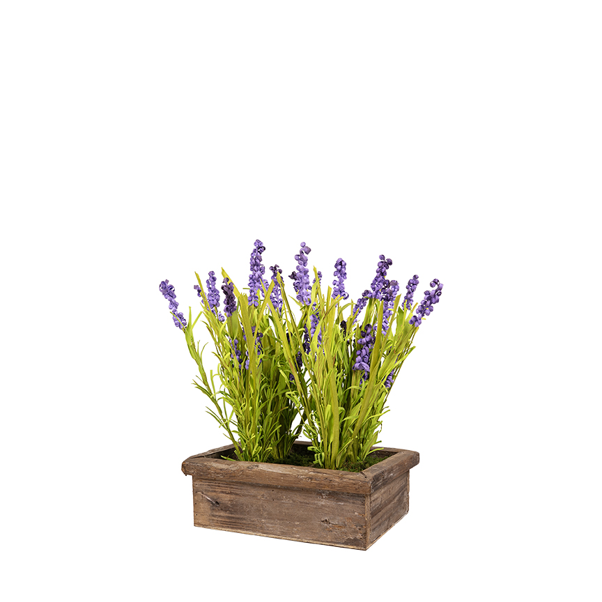 Dark Lilac Wild Flowers in Wooden Planter - 7251018
