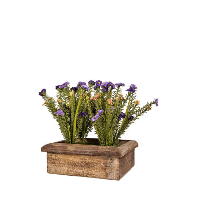 Lavender Wild Flowers in Wood Planter - 7251019