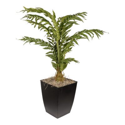 Areca Palm in Cardinal Planter 3.1' - 7251023