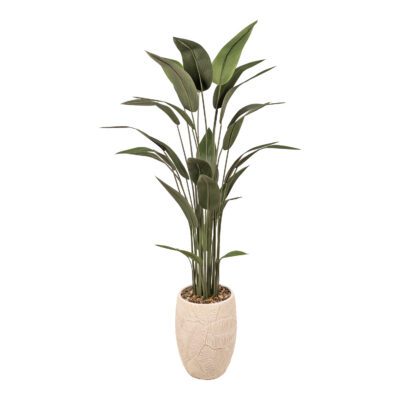 Traveler Palm in Equatorial Planter 6.5' - 976-3091