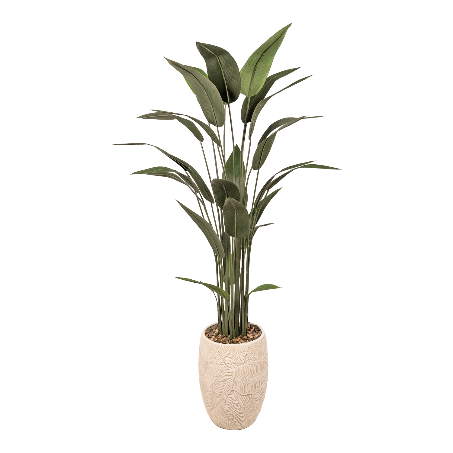 Traveler Palm in Equatorial Planter 6.5' - 976-3091