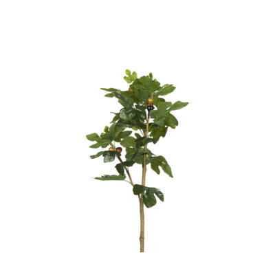 Fruited Fig Branch - GR2219