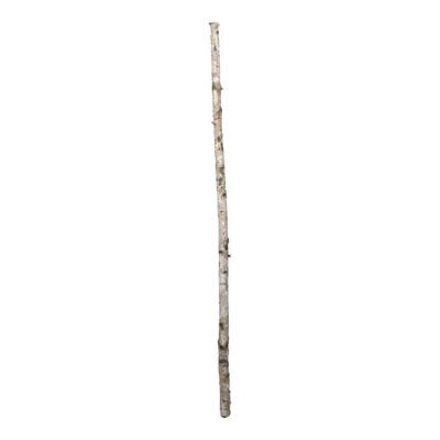 Small Birch Pole - TL860