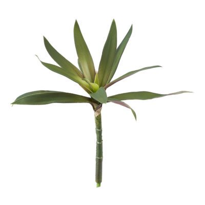Purple/Green Yucca Head - GR2076