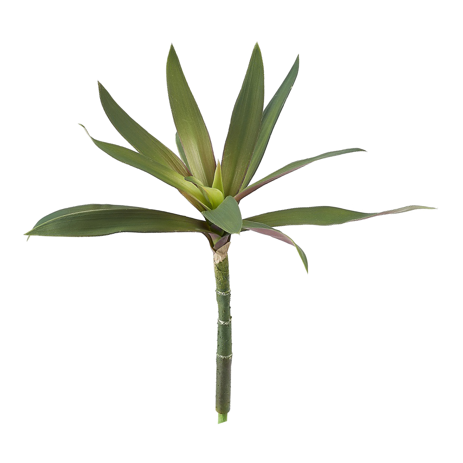 Purple/Green Yucca Head - GR2076