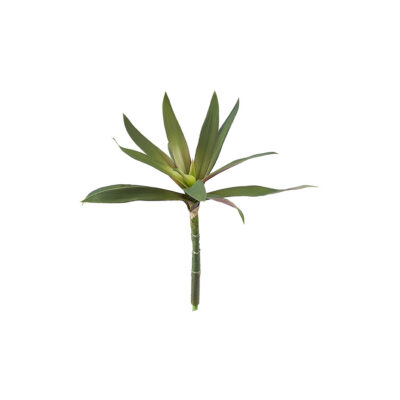 Purple/Green Yucca Head - GR2076