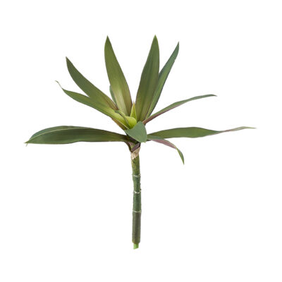 Purple/Green Yucca Head - GR2076