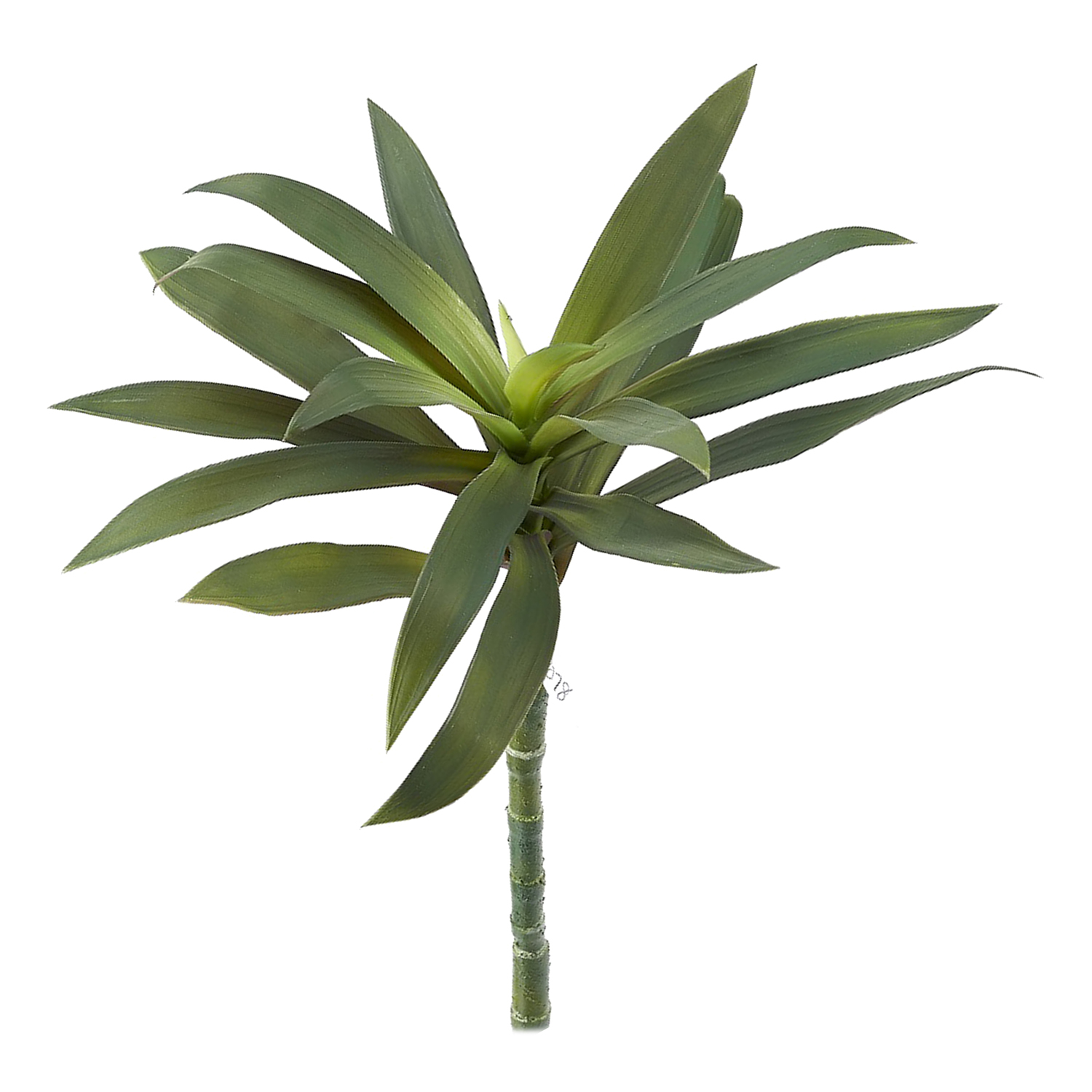 Purple Yucca Head Leaves - GR2078