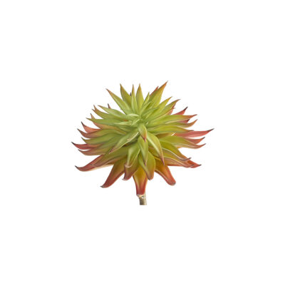 Pink Single Stem Succulent - GR2118