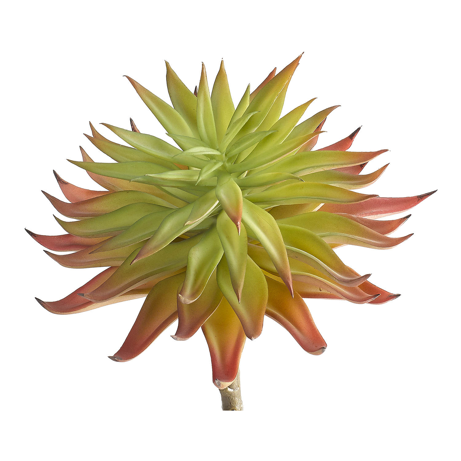 Pink Single Stem Succulent - GR2118