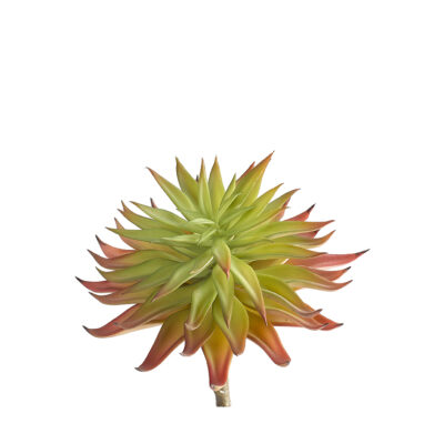 Pink Single Stem Succulent - GR2118