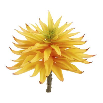 Single Stem Yellow Succulent - GR2121