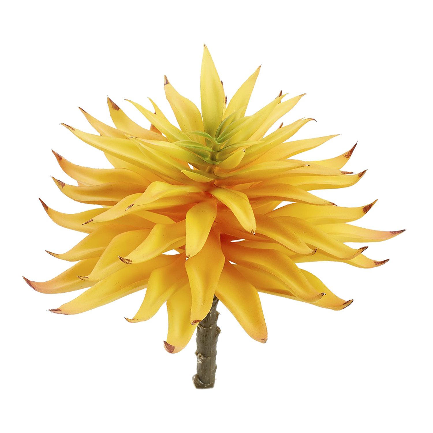 Single Stem Yellow Succulent - GR2121